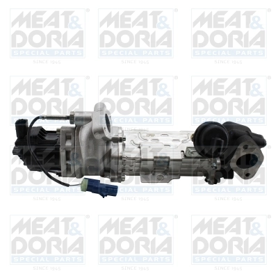 EGR Module